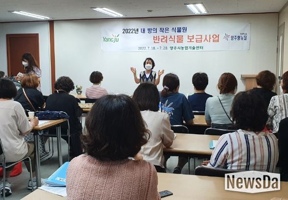 양주시, 내 방의 작은 식물원 '반려식물' 보급 추진