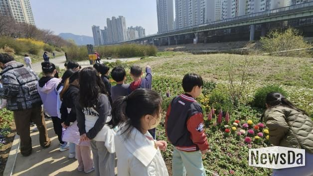안양과천교육지원청 삼봉초등학교, '안양천 봄 생태학습' 실시