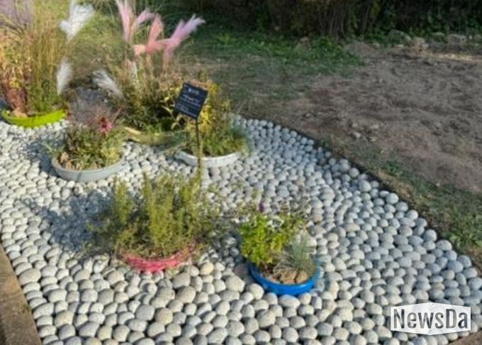 ‘완뚝원정대’의 ‘리플(ripple) 가든’