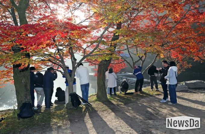 가을 명소 정읍 내장산, 고운 단풍 빛깔 뽐내…“다음 주 절정 예상”