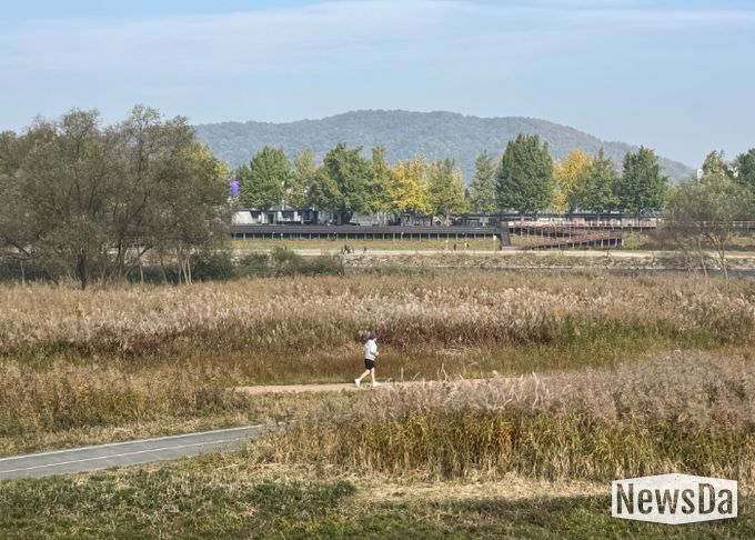 ‘가을의 도시’ 아산서 은빛 억새·황금 단풍 즐겨요