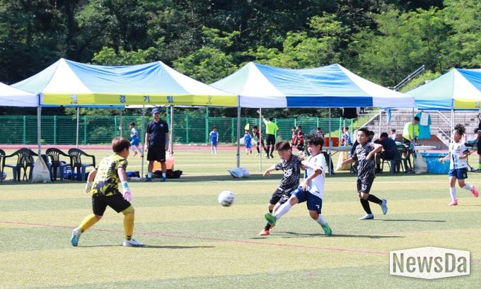 2025 백암드림컵 전국 유소년 축구대회