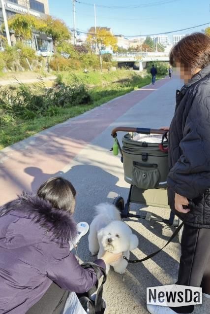 수원시 권선구, 동물등록 집중단속 및 공공장소 지도·단속 실시
