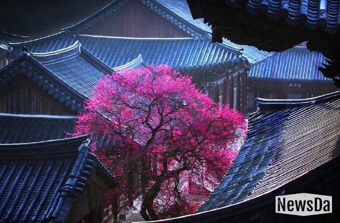 의정부시, 시민갤러리에서 제19회 (사)경기북부사진연구회 사진전 개최