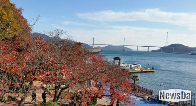 가을 단풍 명소 ‘돝섬’ 으로 오세요