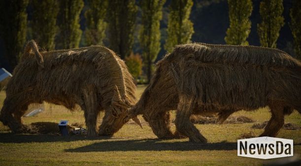 짚 황소 머리를 맞대고 싸우는 소를 짚을 활용하여 역동적으로 표현(사진제공=아름다운강천 사회적협동조합)