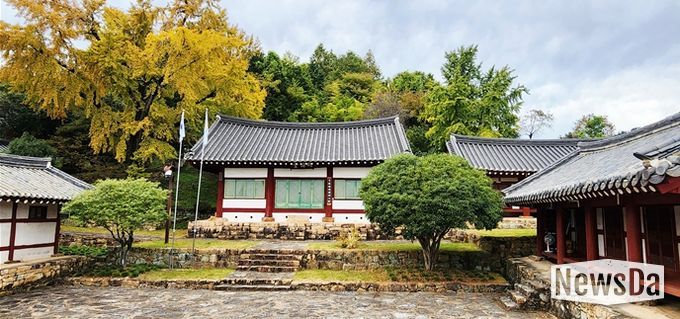 노란 은행잎 물드는 11월, 문학과 역사의 숨결 ‘이균영’을 찾아 - 관광과(故이균영 작가가 어린시절 뛰놀던 광양향교의 은행잎이 노랗게 물들었다)