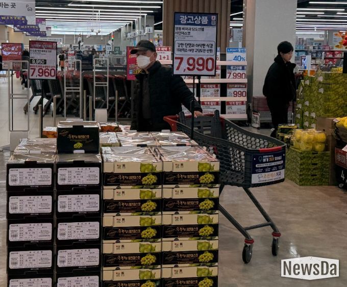 영동 메이빌 샤인머스캣, 롯데마트 전 지점에서 진행