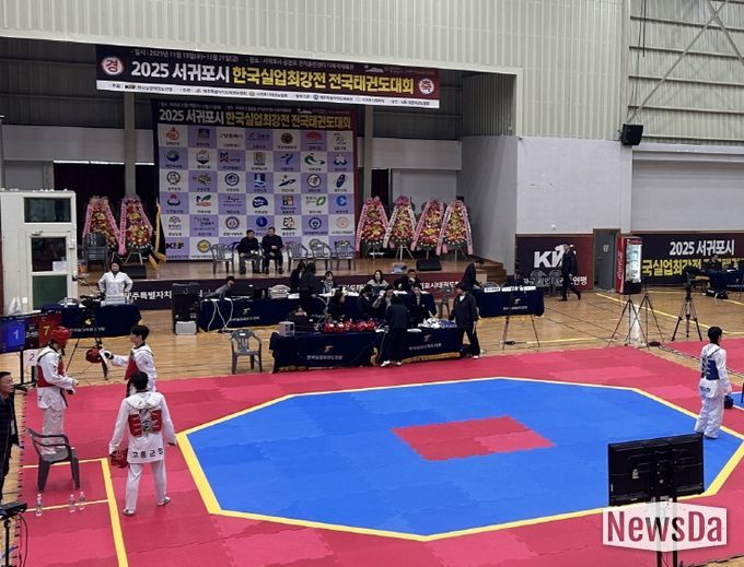 고흥군청 태권도팀, 2025 한국실업최강전 대회 연속 메달