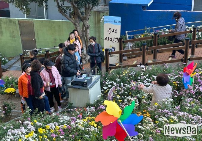 「나 또한 꽃이 되는, 좌천 국화축제」 개최