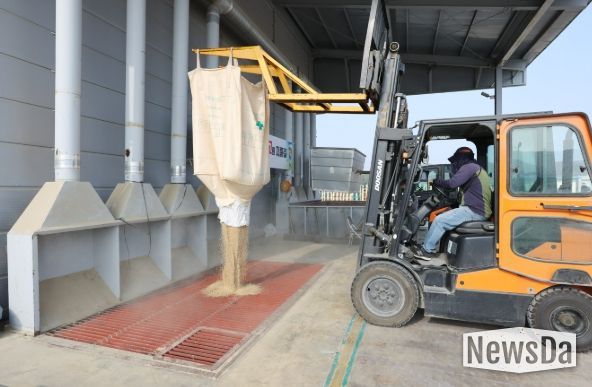 옹진군, 2025년산 공공비축미곡 산물벼 매입 추진