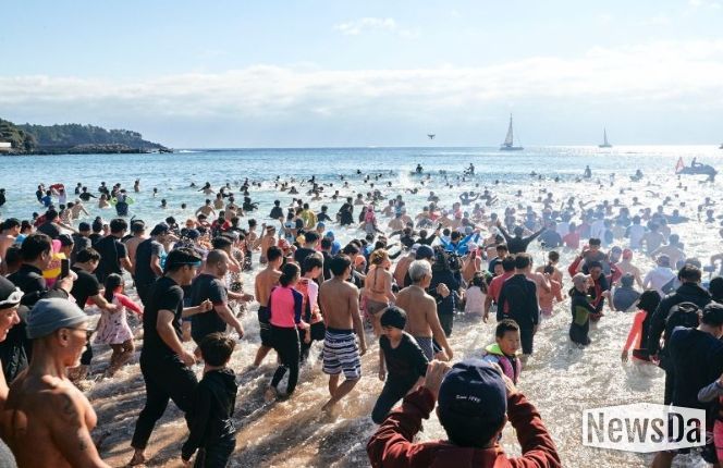 국제펭귄수영대회