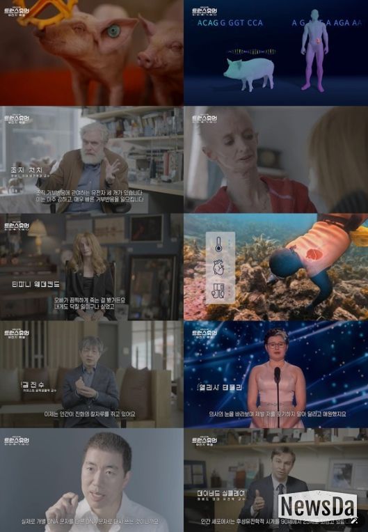 (사진 제공 = KBS 1TV ‘트랜스휴먼’)