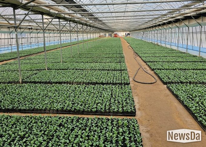 비산3동 꽃양묘장