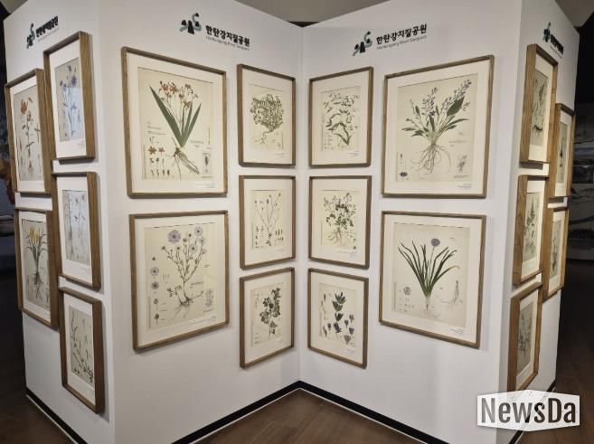 포천시, 한탄강의 아름다운 색채를 담은 압화 전시 개최