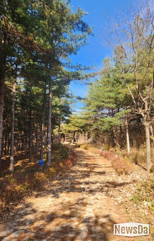 북면 범바위 산책길