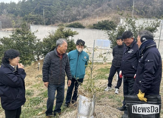 유자 동해 예방 물 주기·토양 피복 기술지도에 총력