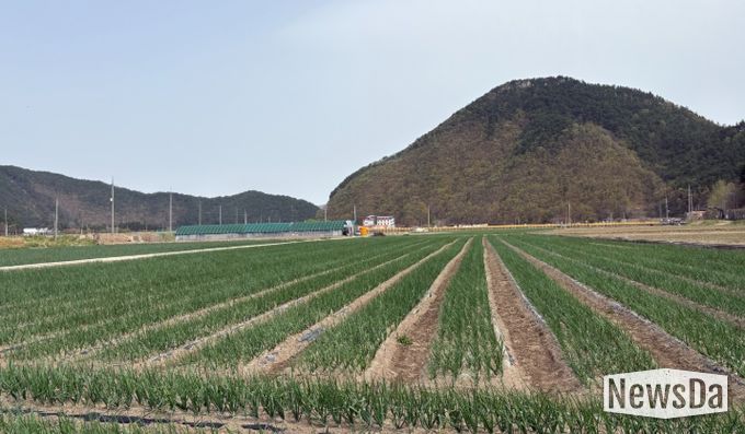 농업기술센터 시범사업