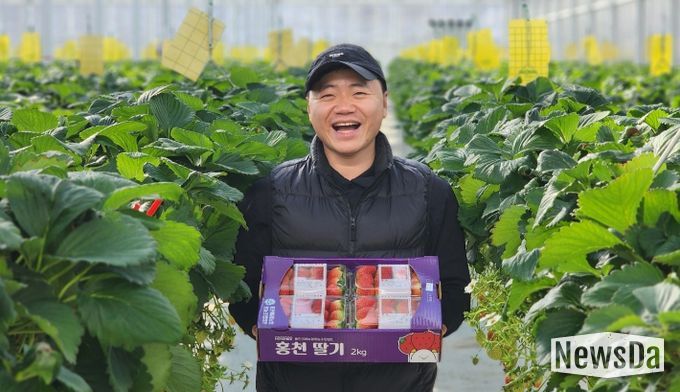 청년농업인 고당도 딸기 본격 출하