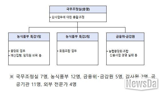 정부합동 특별감사반 구성 및 인원