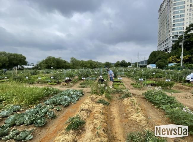 용인특례시는 오는 2월 3일부터 13일까지 용인시민농장에서 텃밭을 가꿀 도시농부 총 815팀을 모집한다