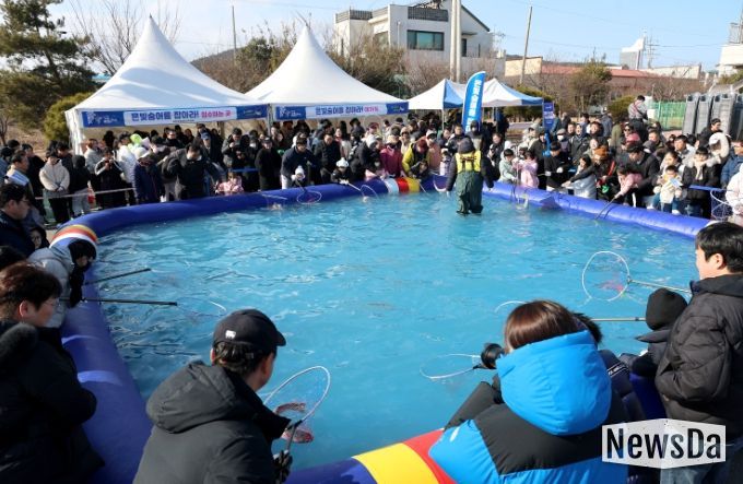 무안겨울숭어축제