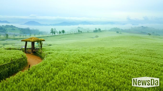 지역사랑 휴가지원_벚꽃축제