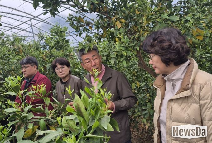 농가 현장기술지원