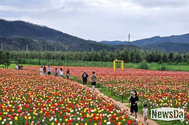 안동포타운, 안동포세대공감페스타 개최