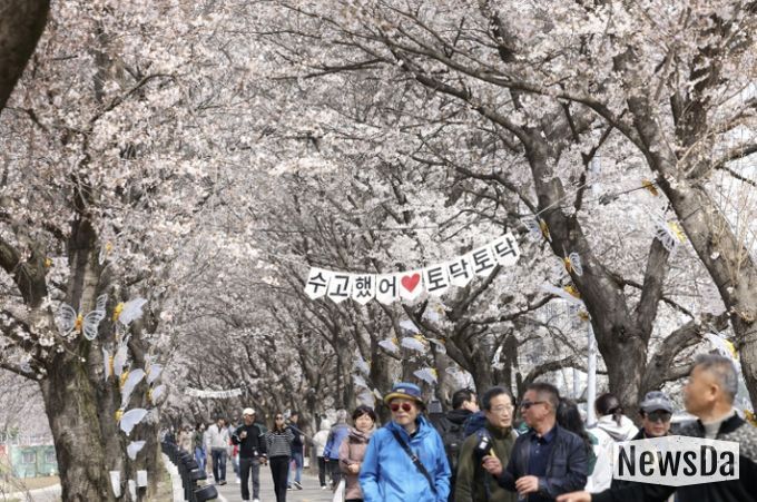 보은군, ‘2026 보은 벚꽃길 축제’ 성황리 마무리