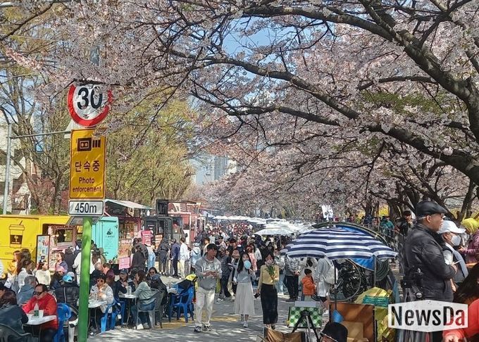 벚꽃 아래 시민 웃음꽃…‘2026 안양충훈벚꽃축제’ 성황리 폐막
